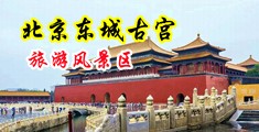 粗大鸡巴操小美女的视频中国北京-东城古宫旅游风景区